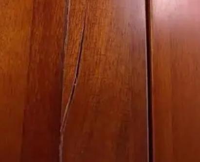快猫成人破解版厂家